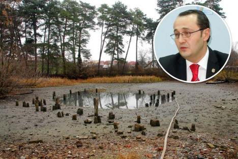 Nuferi la mezat: Prefectura vrea să transfere de la Muzeu la Universitate custodia lacului cu nuferi din Băile 1 Mai